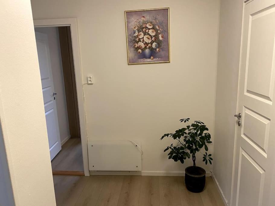 ברגן Lovely 2 Bedroom Apartmen With Free Parking מראה חיצוני תמונה